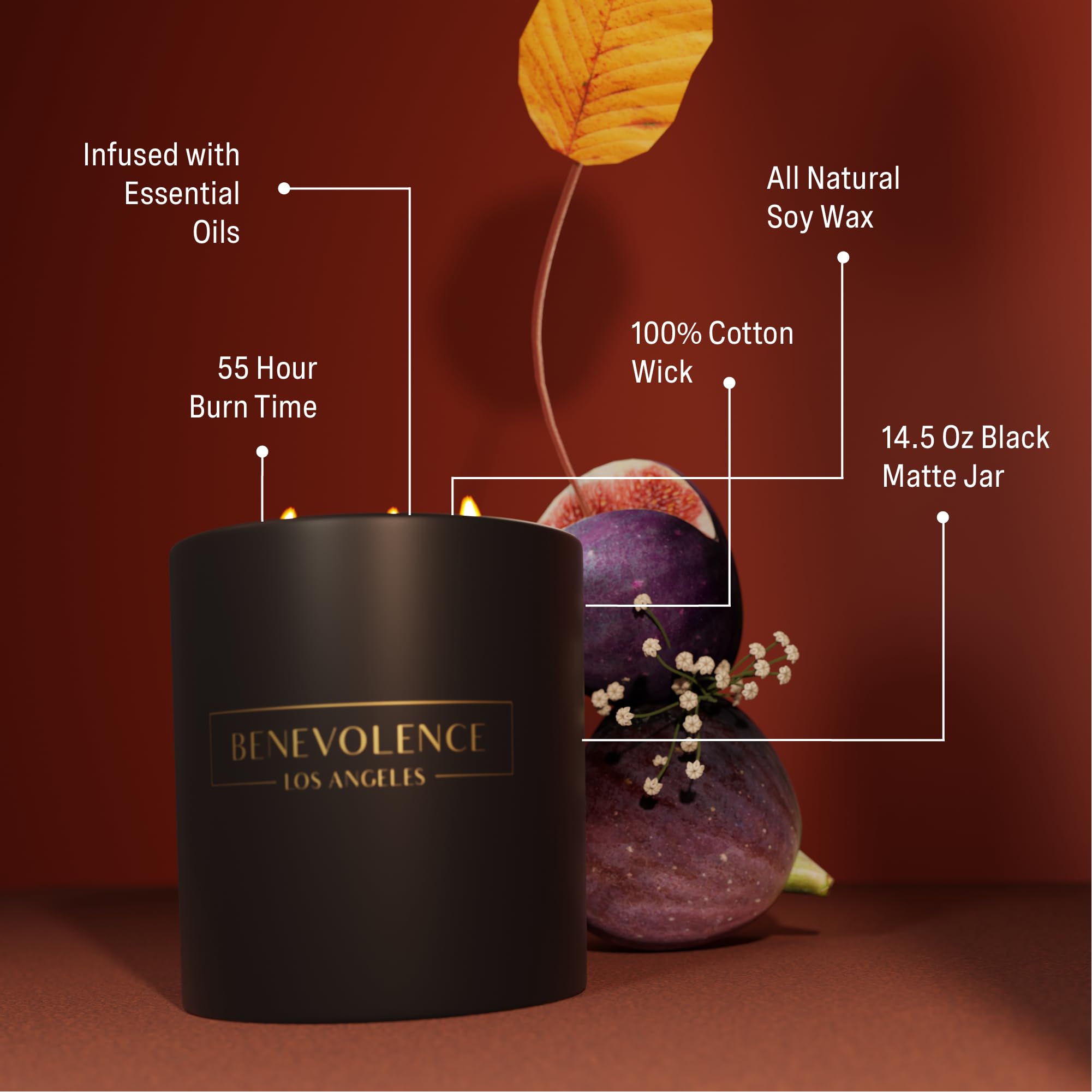 Benevolence LA 3 Wick Candle  Fig Tree Large Candle  14.5 oz Scented Candles for Home Scented  Natural Soy Candles Gifts for Wom